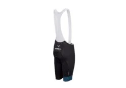 Best Seller -Felt Bicycles Shop Felt Bibs Giordana Mens back
