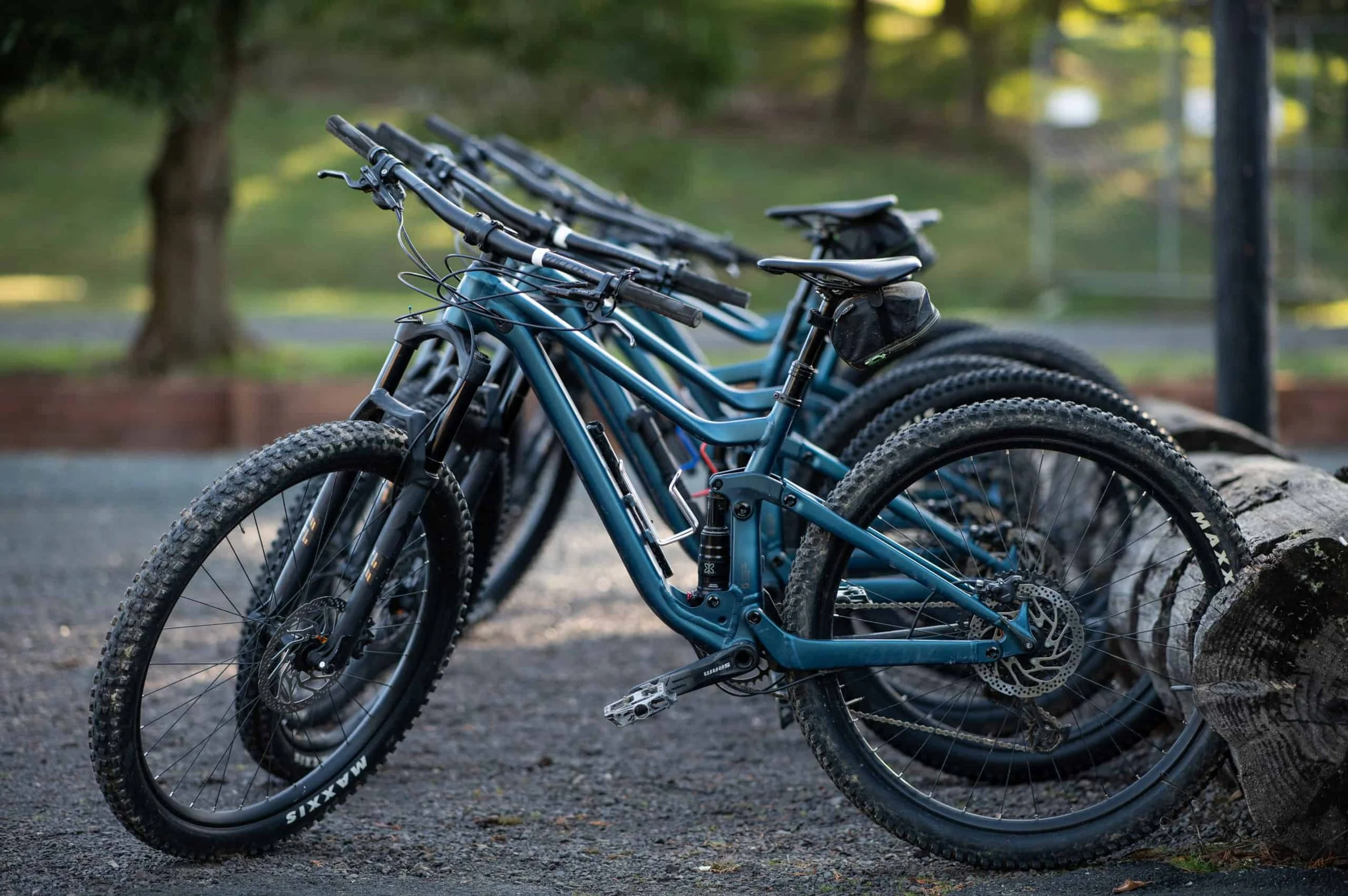 Felt Bicycles Shop -Felt Bicycles Shop DSC 9704 1 scaled 1